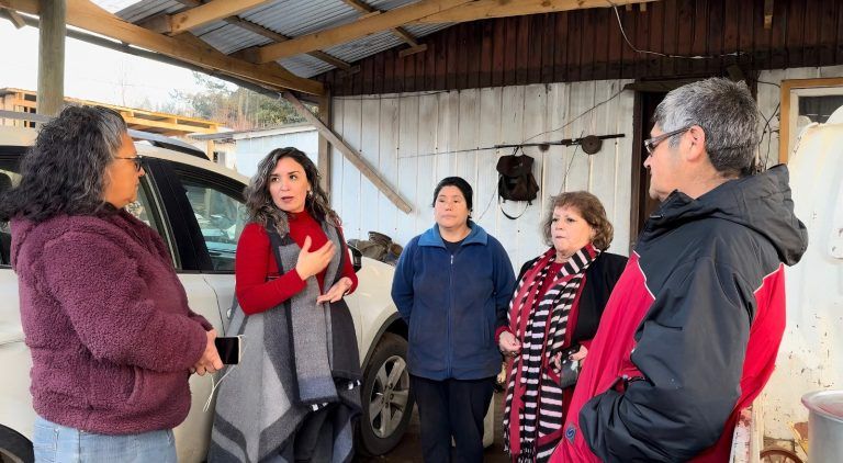 Evelyn Mora acusa abandono e indolencia de empresas eléctricas con familias de Padre Las Casas