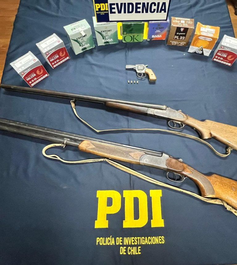 PDI incautó armas y municiones en Purén