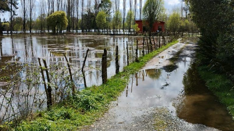 Agricultores de La Araucanía que fueron afectados por las lluvias y que tienen Agroseguros recibirán indemnizaciones