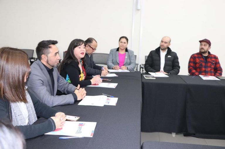 En La Araucanía se constituyó el Consejo de la Sociedad Civil 2024-2026