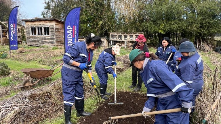 Mujeres rurales de la Araucanía se capacitan en agroecología