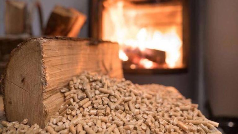 Reporte elaborado por la SEREMI del Medio Ambiente y el SERNAC Regional: «Dónde comprar leña seca y pellets en Temuco y Padre Las Casas»