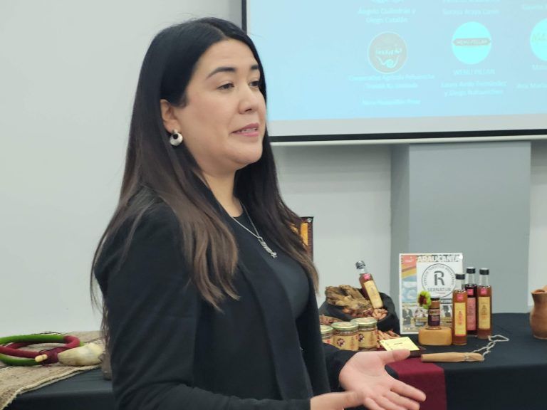ProChile valora muestra de artesanía indígena mapuche en feria en Estados Unidos