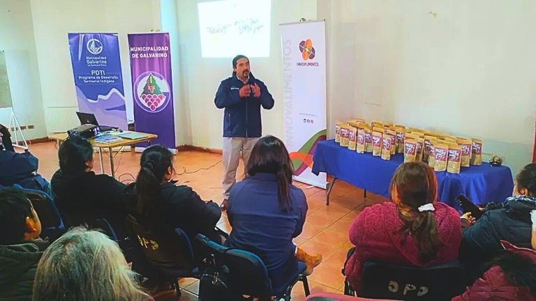 Con superalimento ancestral La Araucanía contribuye a la soberanía agroalimentaria del país
