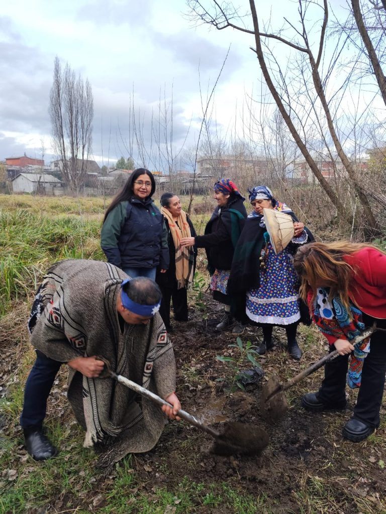 CONAF entrega plantas nativas para recuperar Humedal Urbano en Temuco