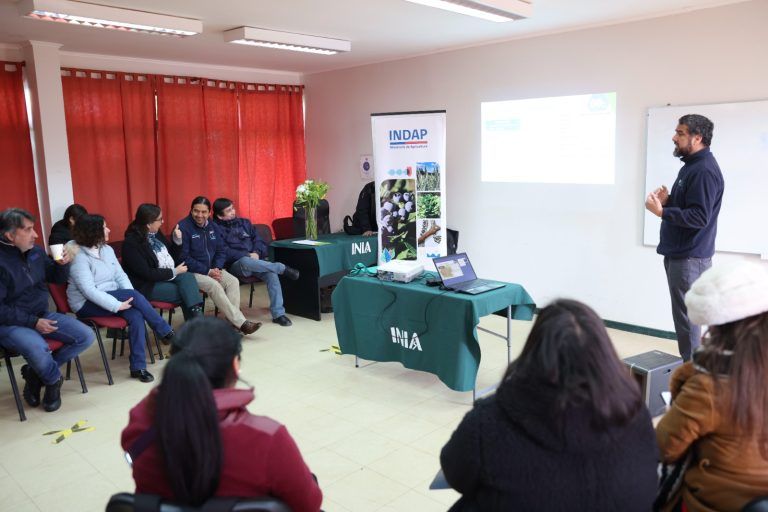 Semillas de legumbres certificadas recibieron pequeños agricultores de La Araucanía