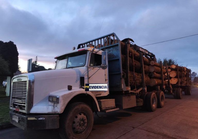 PDI incautó un camión cargado con madera desde la comuna de Pitrufquén: El avalúo asciende a 45 millones de pesos