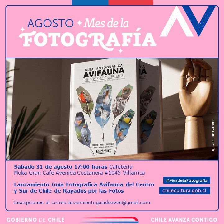 En Villarrica se realizará Presentación de la «Guía Fotográfica de Avifauna del Centro y Sur de Chile».
