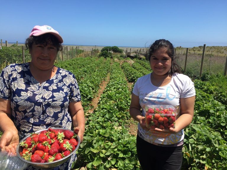 Concurso sólo para mujeres financiará proyectos de riego a las pequeñas agricultoras de La Araucanía