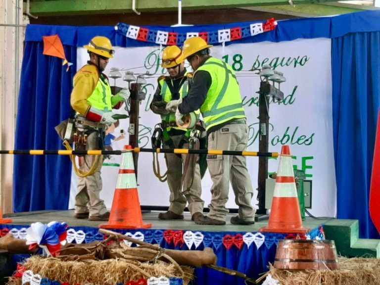 CGE lanza campaña “Volantín Seguro” en Colegio Los Robles de Labranza para prevenir accidentes relacionados con las redes eléctricas en las Fiestas Patrias