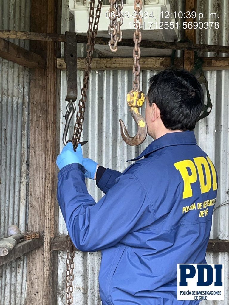 PDI, SAG y Servicio de Salud clausuran matadero clandestino