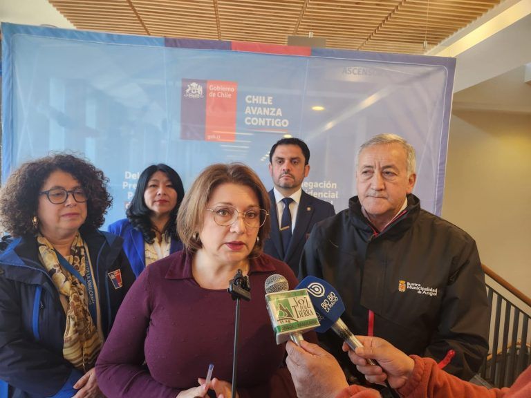 Delegada presidencial cataloga de clave detención de ladrón de cilindros de gas