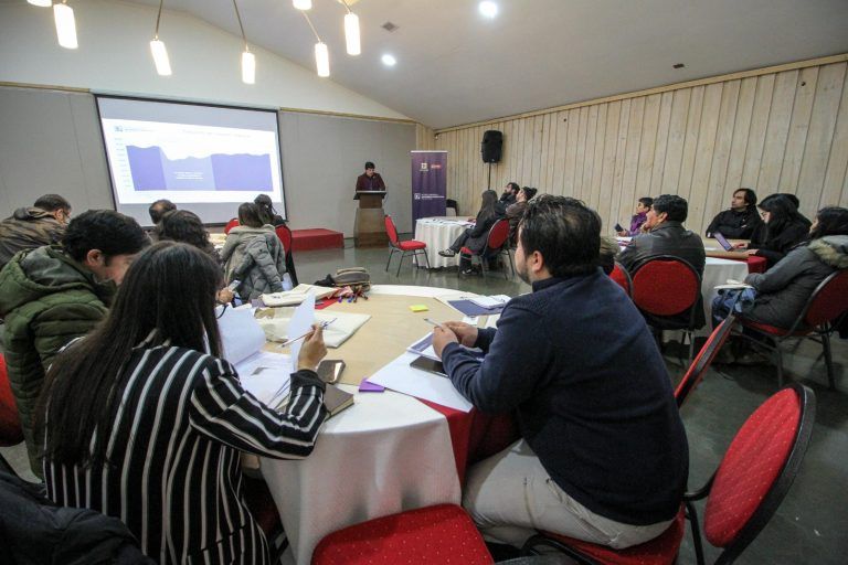 Gobierno Regional e IDER de la UFRO realizan talleres territoriales para la definición de la política de fomento productivo para la Araucanía
