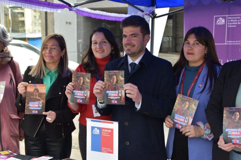 Se establecen puntos morados en la Araucanía para prevenir la violencia de género