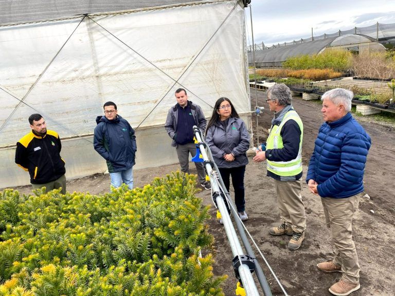 Corma y Conaf visitan vivero para planificar entrega de plantas a pequeños y medianos propietarios afectados por incendios