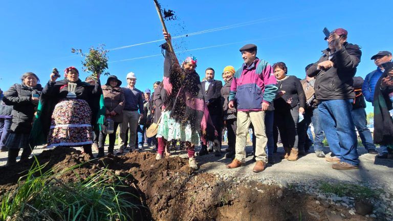 MOP y comunidades mapuche instalan primera piedra para pavimentación de camino Victoria – Púa por Longitudinal Antiguo