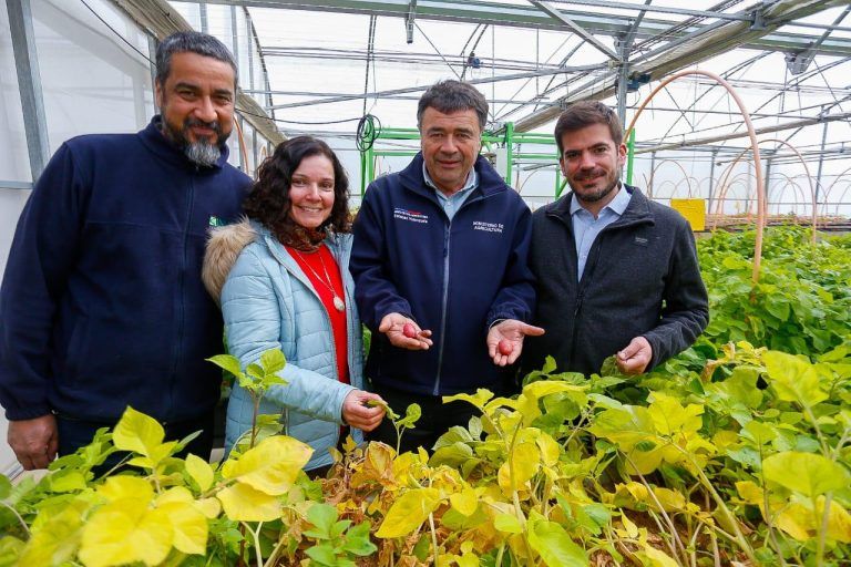Actividad inserta en el Convenio Tranapuente Ministro de agricultura preside ceremonia de entrega semilla de papa.