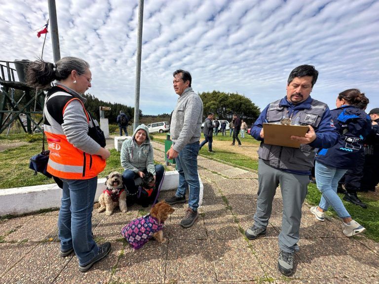 Cerca de 10 mil personas participan en simulacro de sismo y tsunami en la Región de La Araucanía