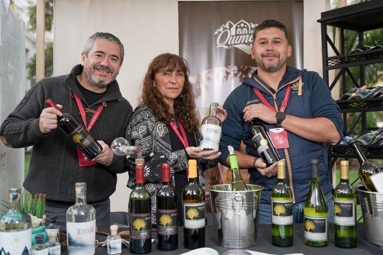 Viña de La Araucanía se luce en expo vinos en la región Metropolitana