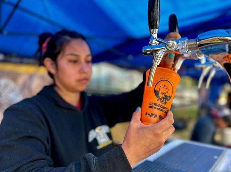Productores de cerveza artesanal darán vida a nueva edición del Costa Beer Fest en Padre Las Casas