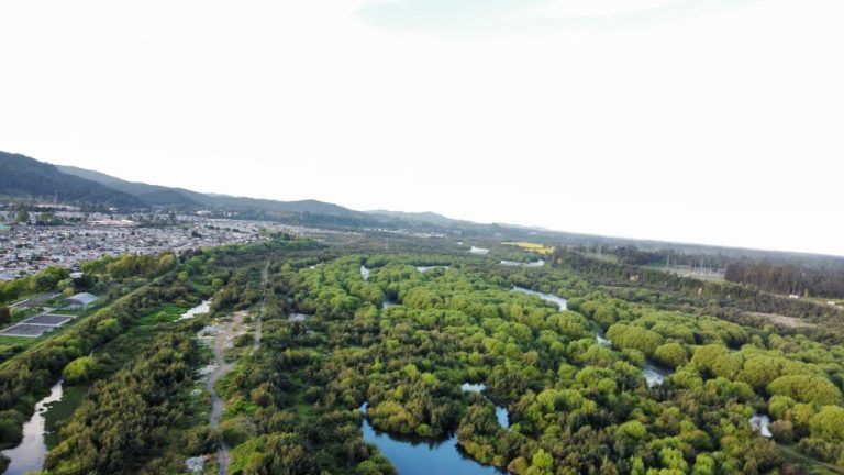 Comunidad se une para el rescate del río Cautín y humedales de Temuco: Vecinos  convocan a gran jornada de limpieza este sábado