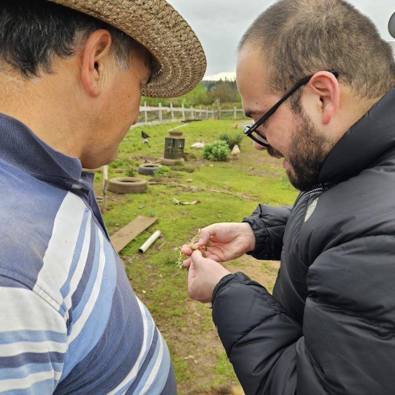 Su objetivo es conocer las brechas productivas de la zona «Especialista de INIA visita productores hortícolas de Temuco»