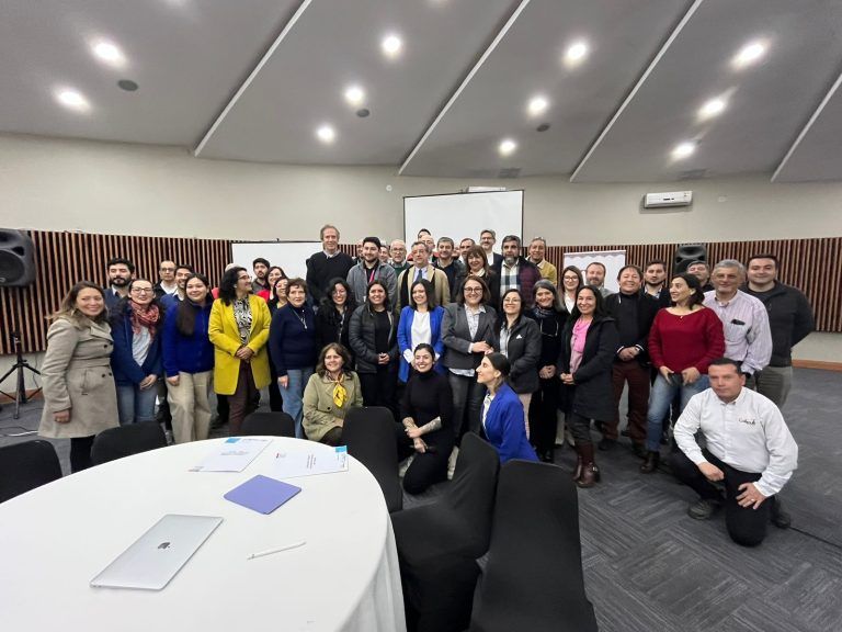 Municipios de la Araucanía participaron en primera mesa de transformación digital del gobierno regional