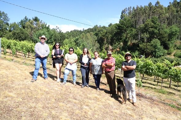 Gobierno Regional destaca exitoso proyecto de producción vitivinícola en Teodoro Schmidt