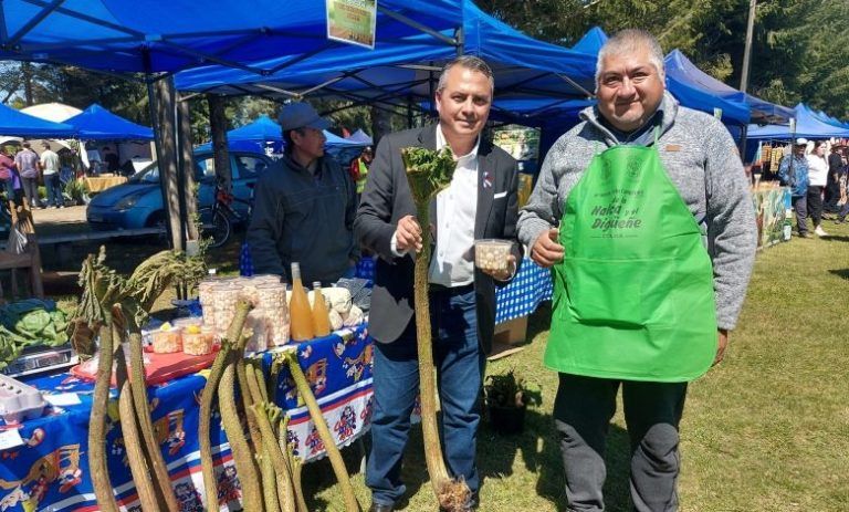 Más de ocho mil personas visitaron, este fin de semana, la Feria de la Nalca y el Digüeñe en Pitrufquén