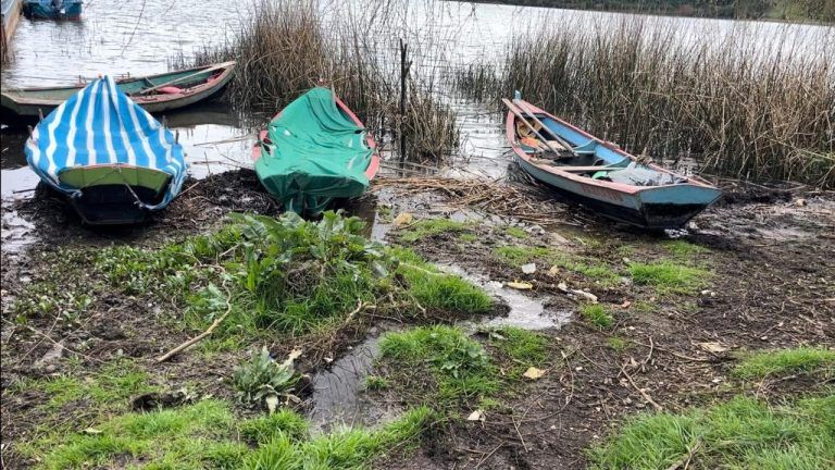 Denuncian Vertimiento de Aguas Contaminadas en el Lago Budi