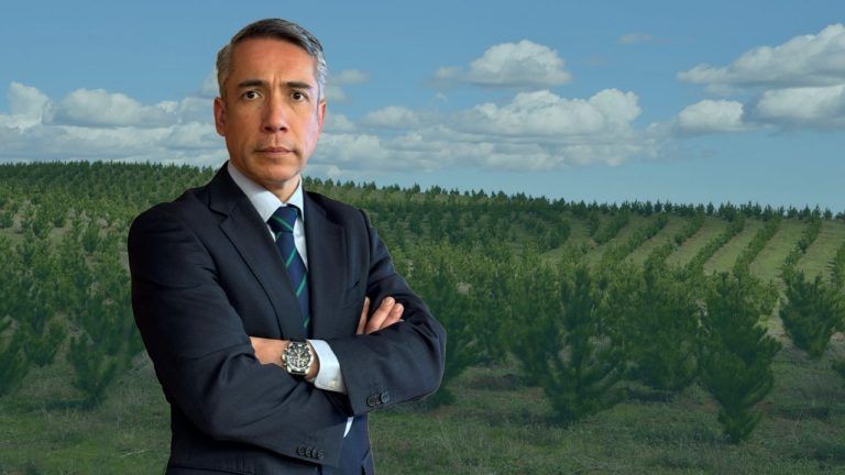 Cuatro pilares para una Ley de Incendios eficaz