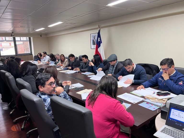 Se realizó en La Araucanía Comité Directivo Regional para la Prevención, Tratamiento e Integración social