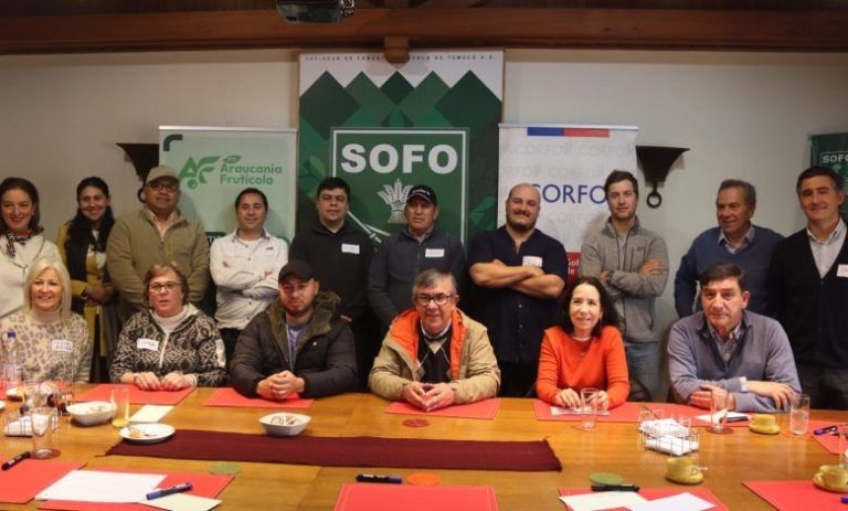 Con apoyo de Corfo se inicia la creación de la Comisión Regional de Cerezos