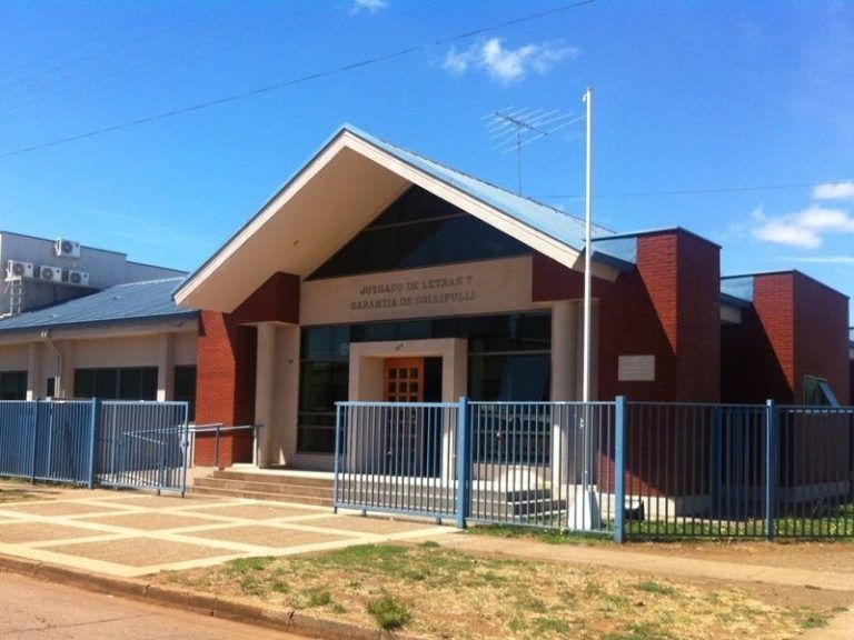 Juzgado de Collipulli acoge demanda de declaración de relación laboral y cobro de prestaciones de veterinario