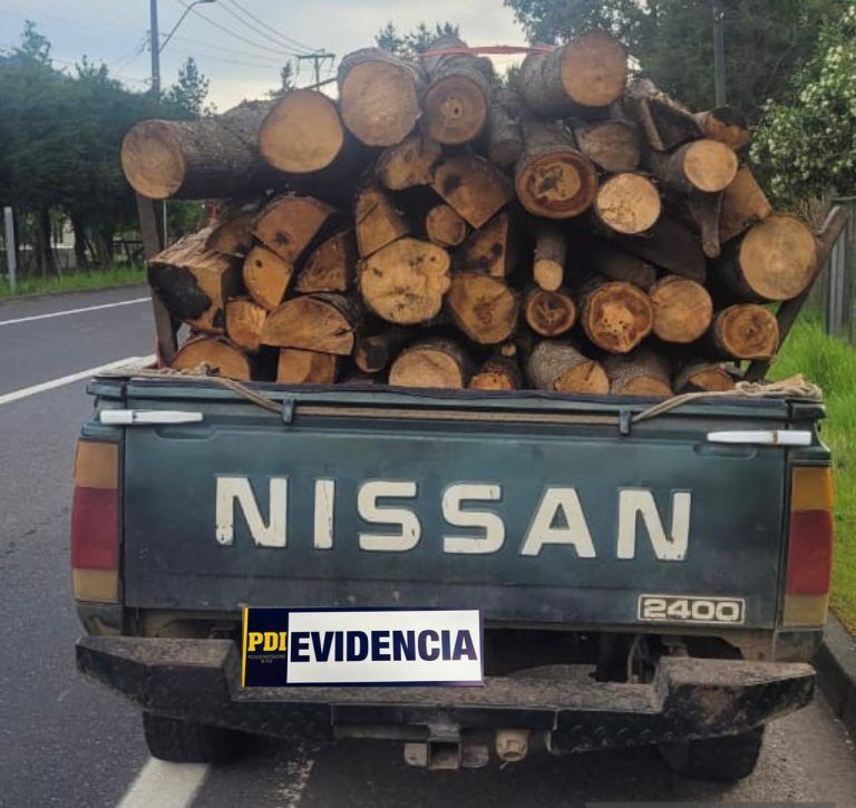 PDI detiene a dos personas por robo de madera en Cunco