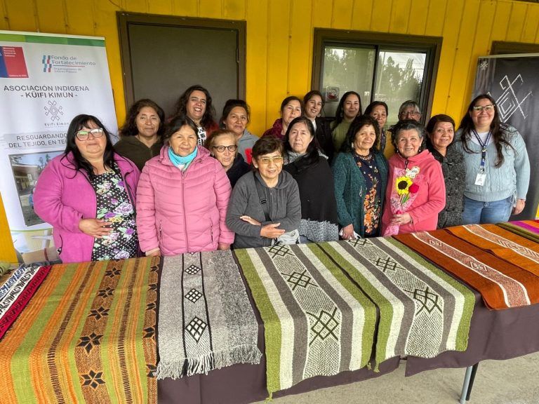 Fondo de Fortalecimiento de Segegob apoyó el resguardo del ancestral oficio del tejido en telar mapuche