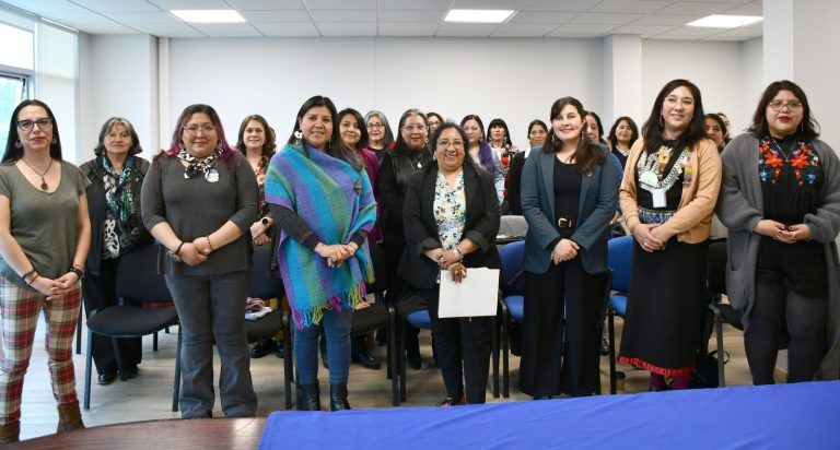Funcionarias de CONADI analizaron temáticas de Paz y Seguridad desde perspectiva territorial e intercultural