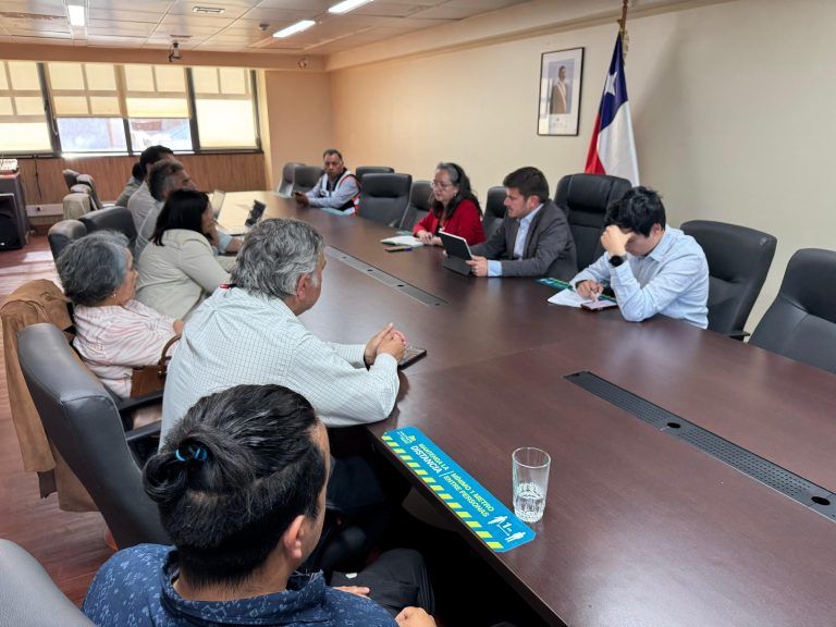 En marcha coordinación para posible retorno de excursiones al volcán Villarrica