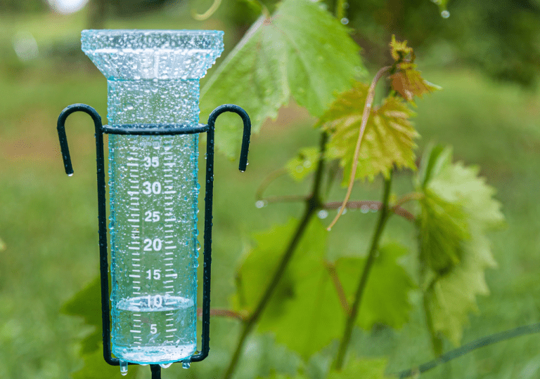 Esta es la cantidad de agua que se espera en Chile esta semana: varios sistemas frontales llevarán lluvias al país