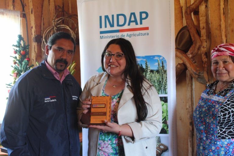 Más de 40 emprendedores rurales de La Araucanía fueron capacitados en educación comercial