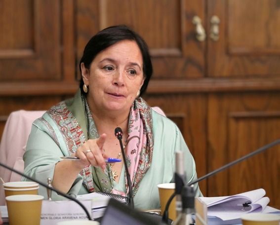 Carmen Aravena, tras renuncia de director de Senapred en La Araucanía: “Los argumentos que nos han dado la verdad se entienden poco”