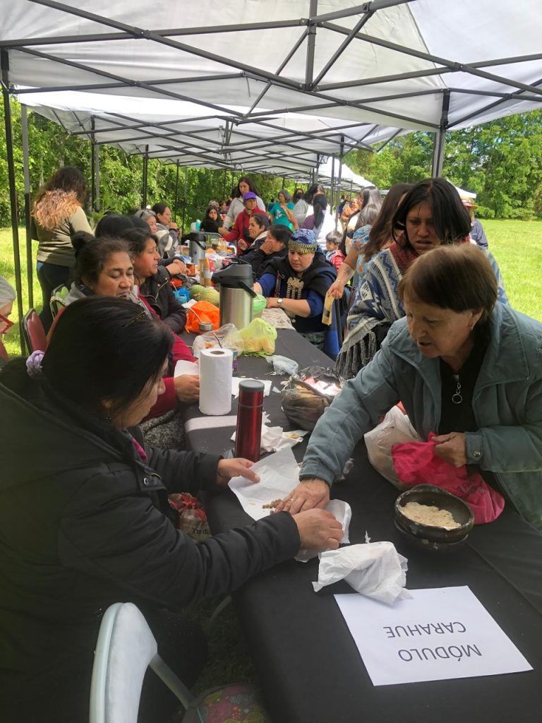 Centro Experimental de la UFRO recibió a 120 mujeres rurales para Trafkintu