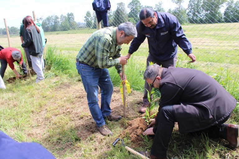 Ministerio de Agricultura celebra un siglo de historia con plantación simbólica de árboles nativos en colegio