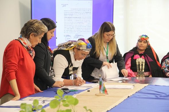 Comunidad mapuche Pitriqueo de Ercilla recibió tierras compradas por CONADI