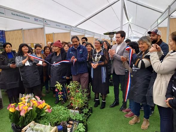 Expo agroecológica de INDAP promueve el consumo de alimentos saludables