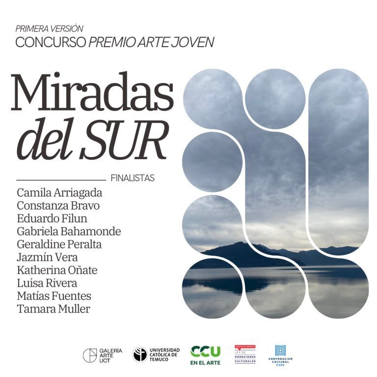 Premio arte joven «miradas del sur» inaugura su primera versión en Temuco