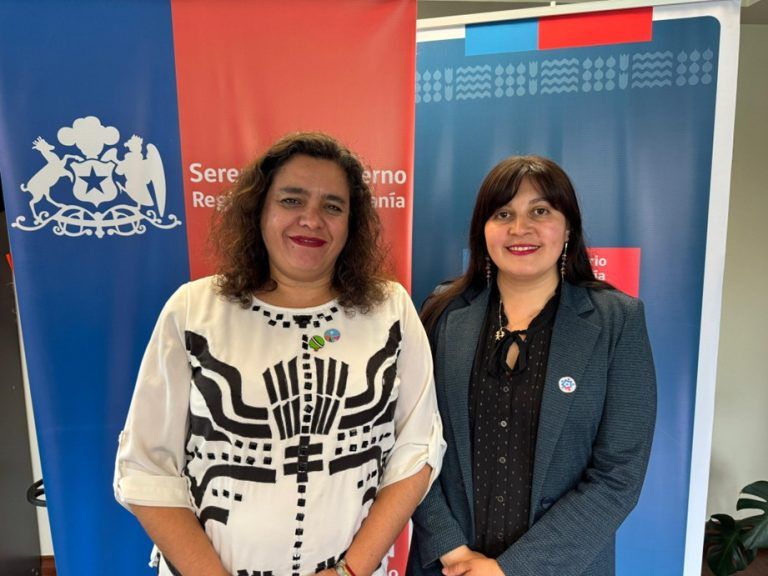 Seremis de Gobierno y Mujer realizan balance de ley Pago Efectivo de Pensiones Alimenticias.