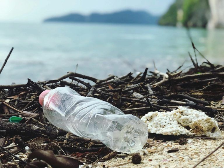 Importante jornada sobre reciclaje se desarrollará en La Araucanía