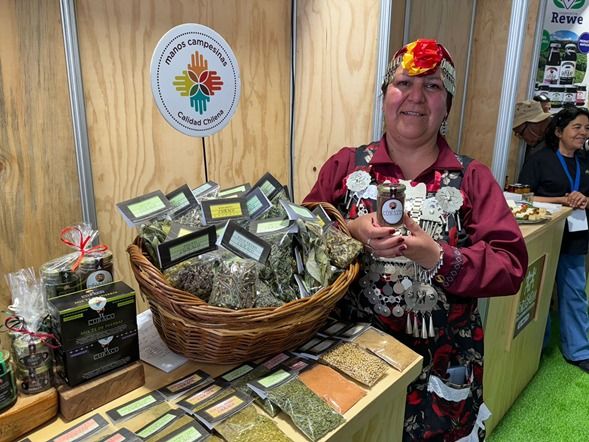 Artesanos de todo Chile participan en el primer encuentro de las tradiciones ancestrales en Temuco