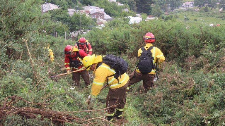 Gobierno impulsa plan regional de cortafuegos para prevenir incendios forestales en la Araucanía